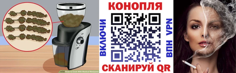купить  цена  Грязовец  Canna-Cookies конопля 