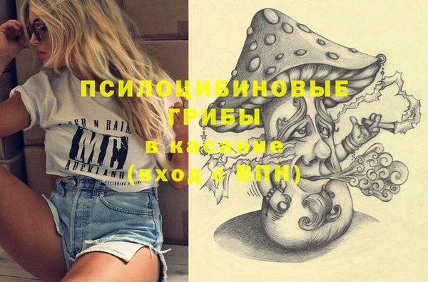 винт Алзамай
