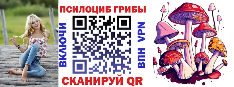 хочу   Грязовец  Галлюциногенные грибы прущие грибы 