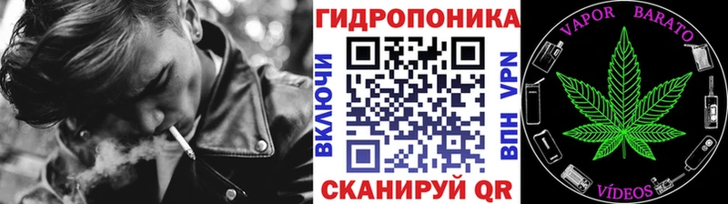 Марихуана OG Kush  Грязовец 